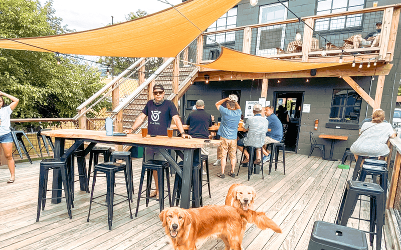 Asheville & Surrounding Trails