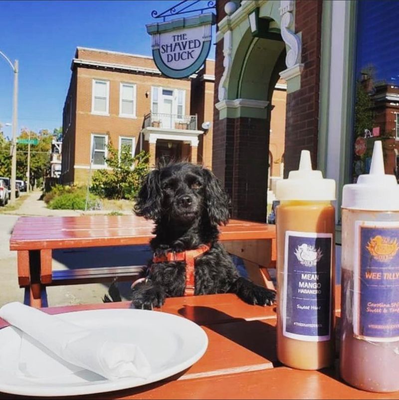 The Shaved Duck — St. Louis (Tower Grove East)