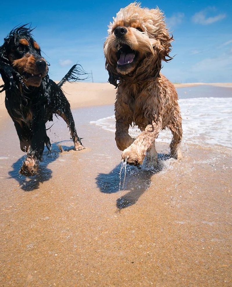 Outer Banks – Various Locations