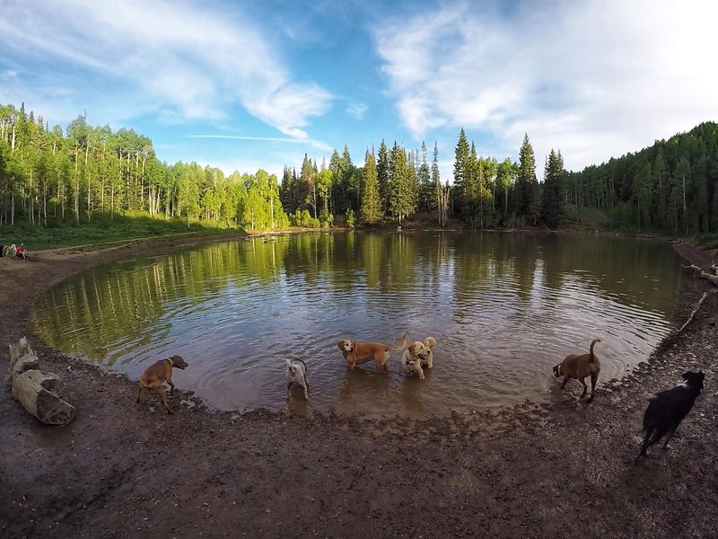 Mill Creek Canyon: Stream-Side Paradise