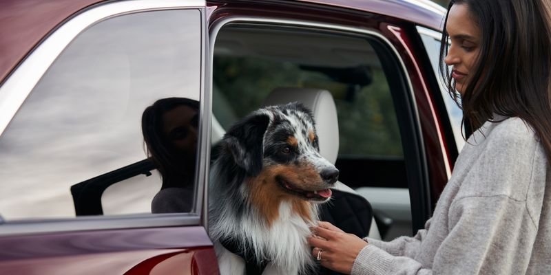 Ensure Comfortable In-Car Restraint & Familiarization