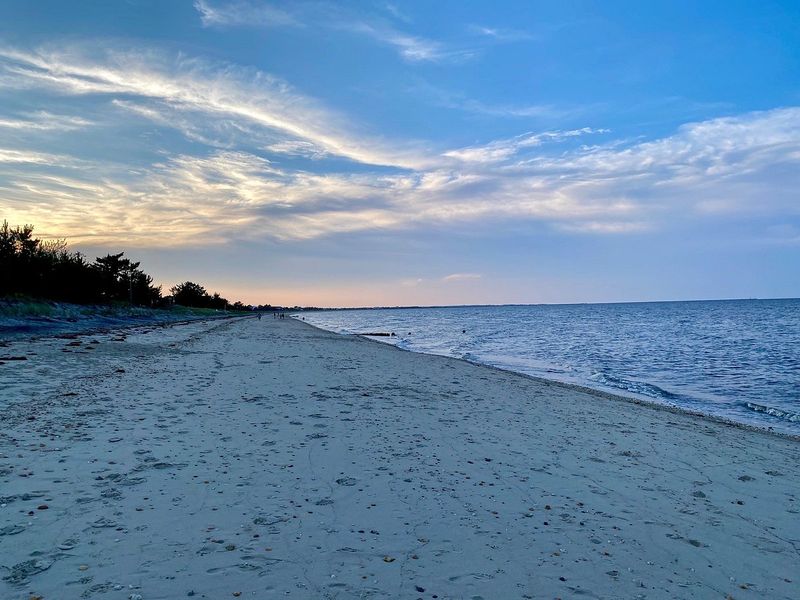 Bowers Beach: Treasure Hunting for Curious Pups