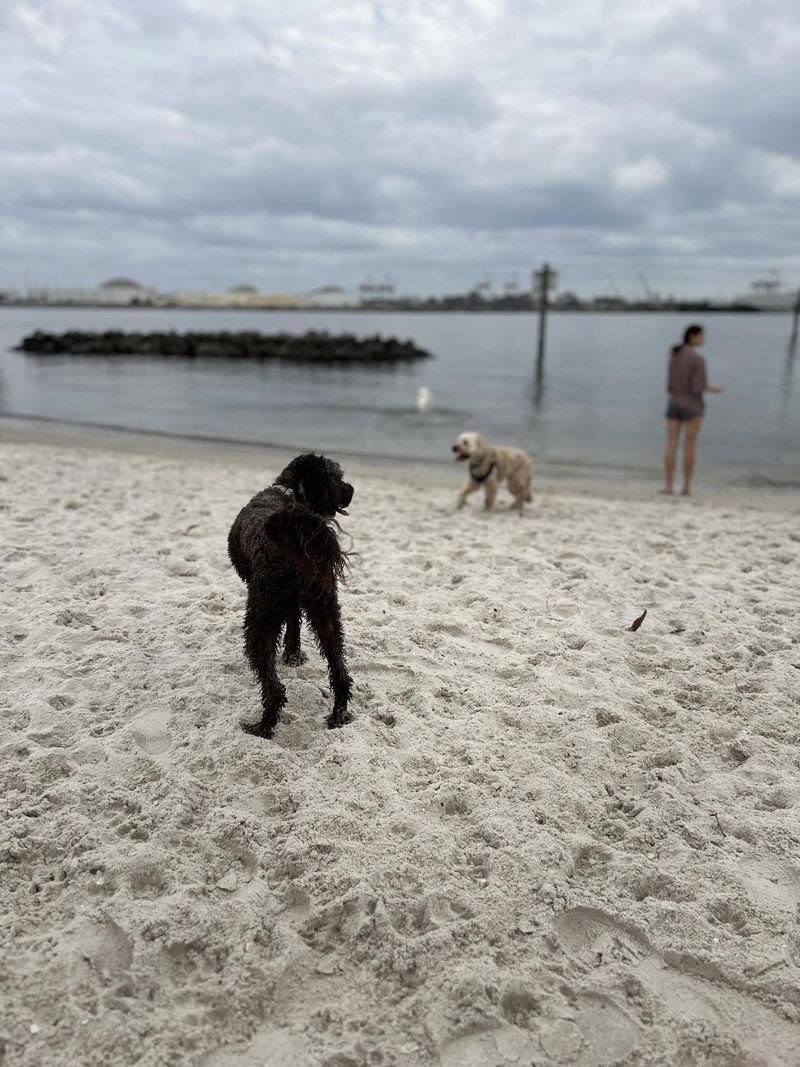 Davis Islands Dog Beach – Tampa