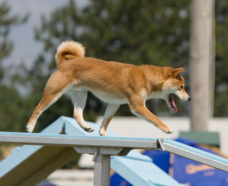 Urban Parkour Pros