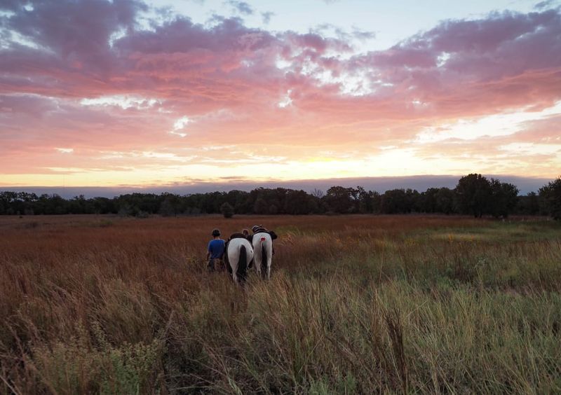 Wide-Open Prairie Sections Of Both Grasslands