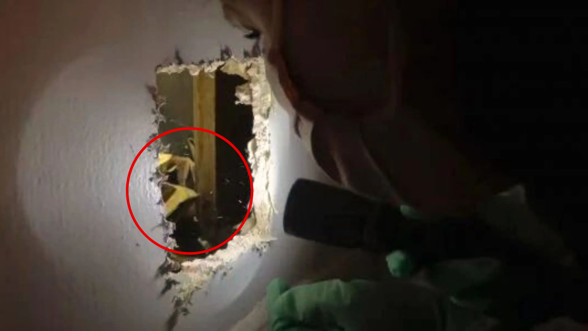 California Homeowner Hears Strange Sounds In The Wall, Then Realizes What They Are