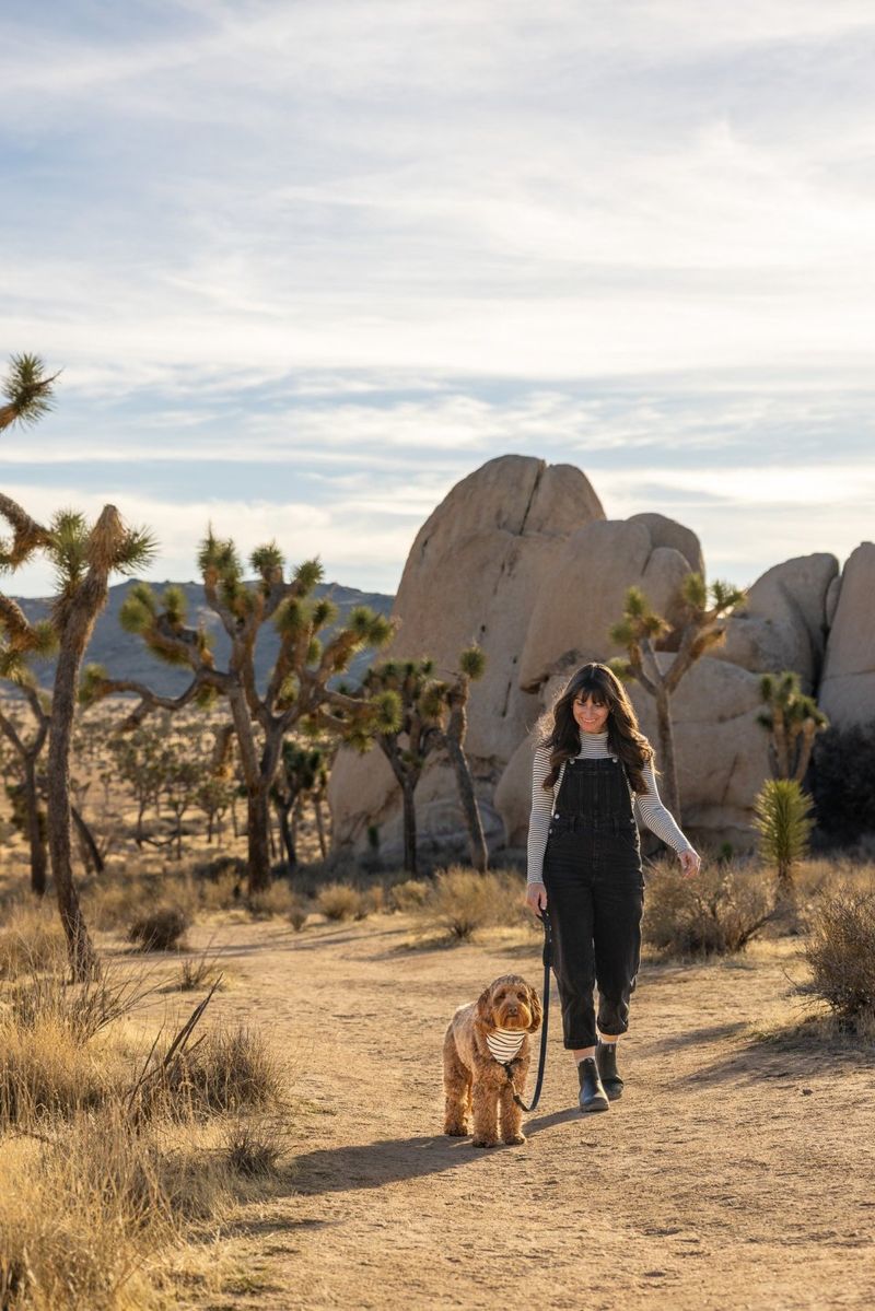 Palm Springs' Desert Dog Oasis