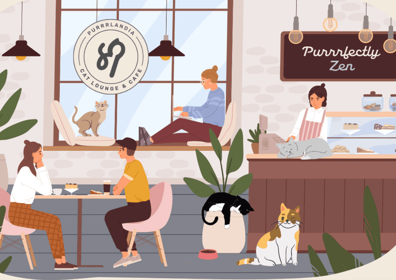 Purrrlandia Cat Lounge & Café – Thousand Oaks