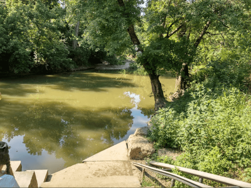 The Barklands At Beckley Creek Park: Creek Exploration Paradise