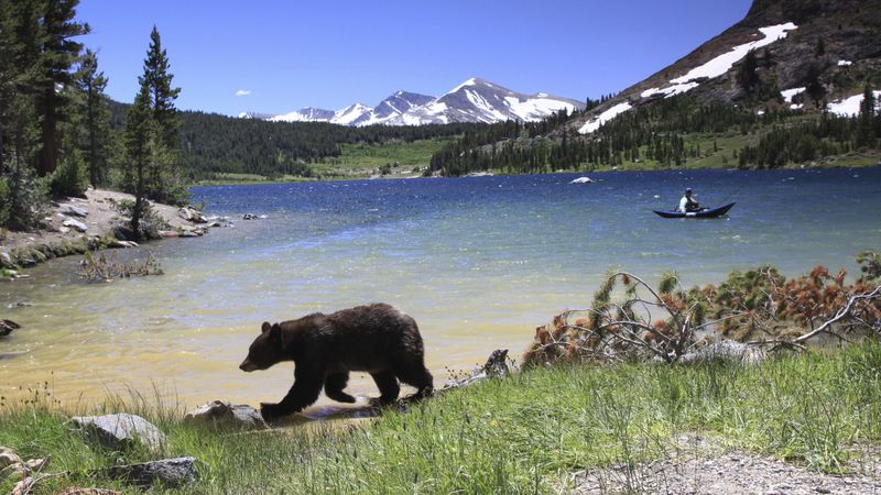 Yosemite National Park's Mountain Kingdom