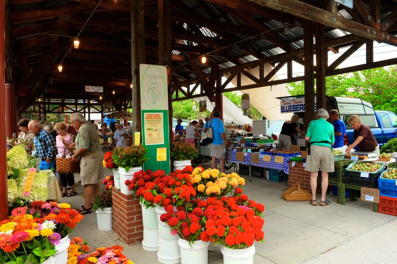 Carrboro: Bohemian Bark-Friendly Borough