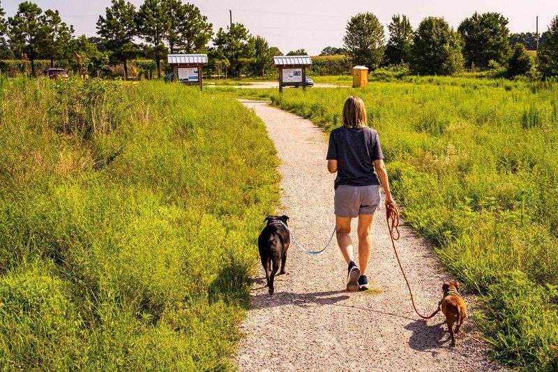 Raleigh: Capital City Canine Paradise