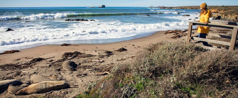 Stay Aware Of Wildlife & Safety Hazards