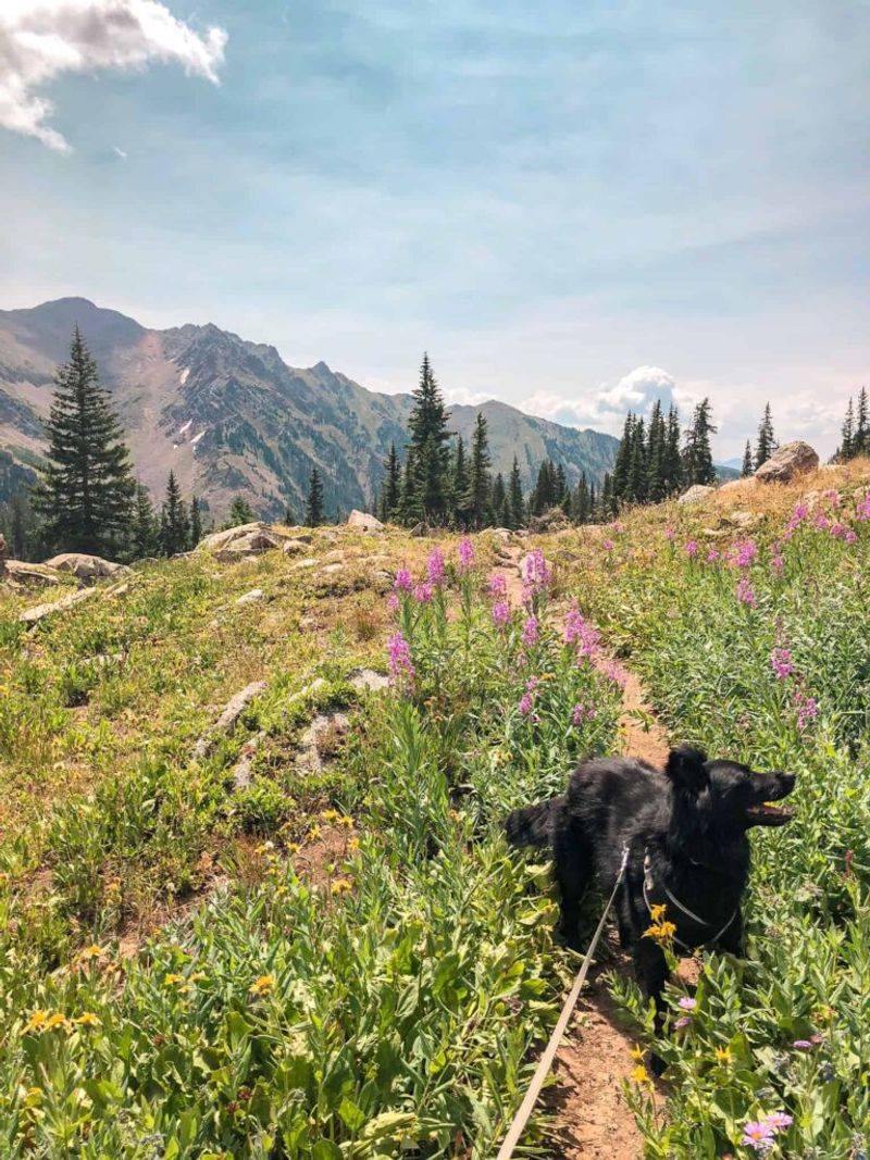 Herman Gulch