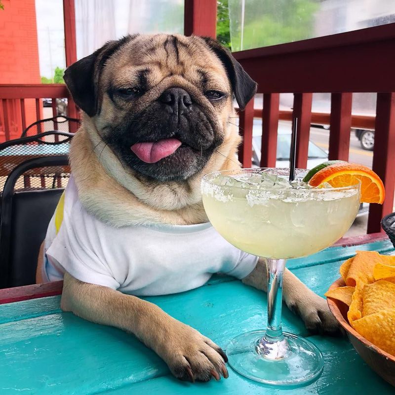 Knows How To Pose For Instagram