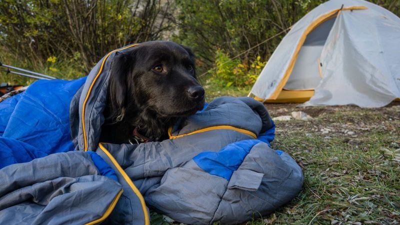 Gerle Creek Campground – Crystal Basin Recreation Area