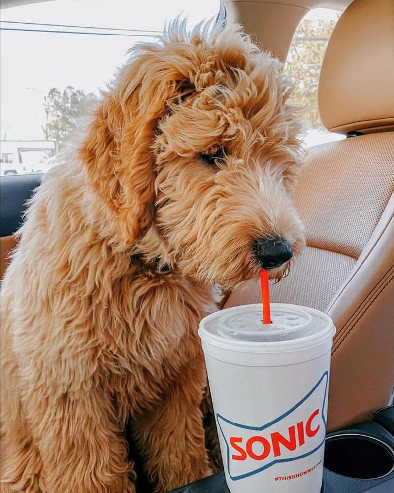 Sonic Drive-In