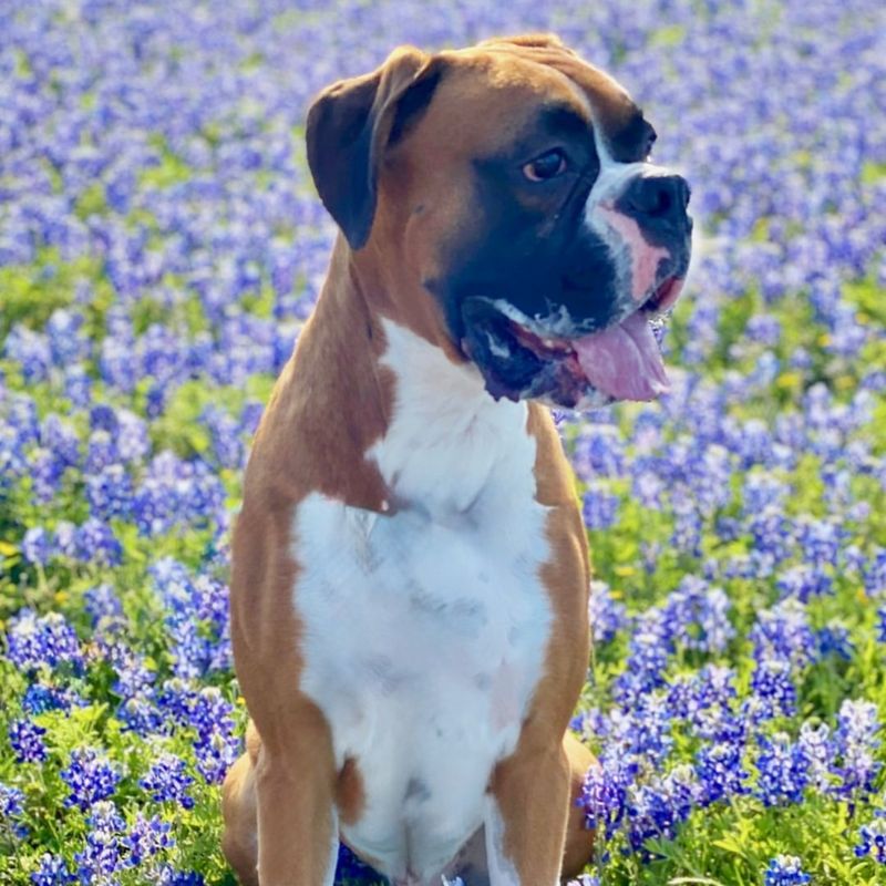 Texas