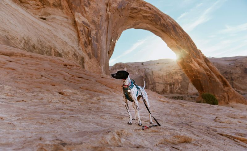 Utah's Desert Diversity