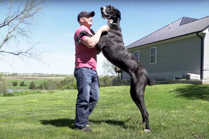 Ability to Stretch Out