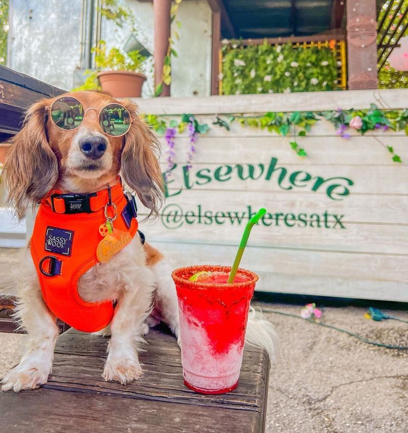 Recognition as a Pet-Friendly State