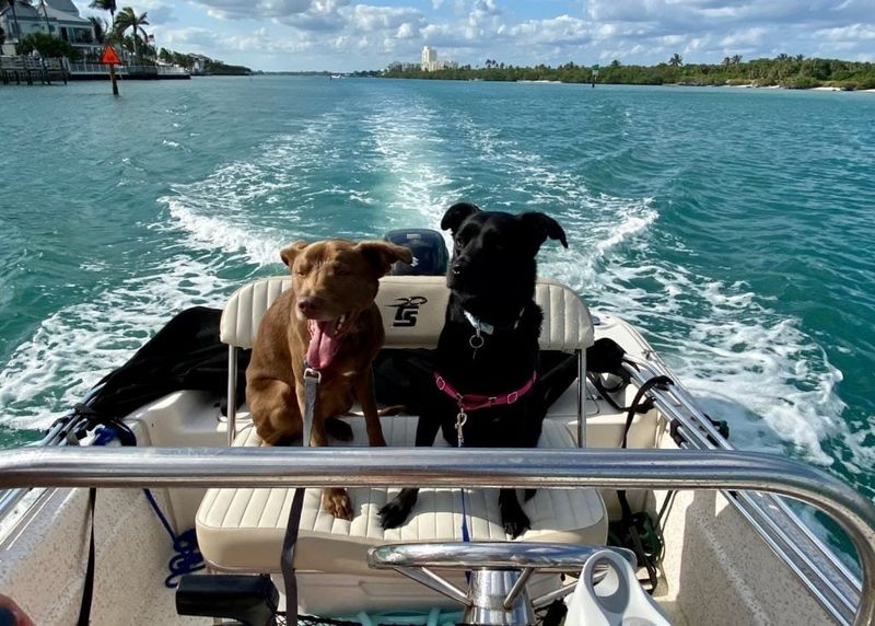 Waterway Watchdog