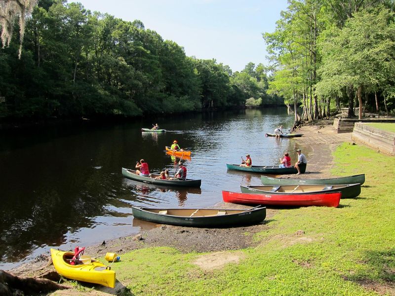 Lumber River State Park: Blackwater Beauty Without Bite
