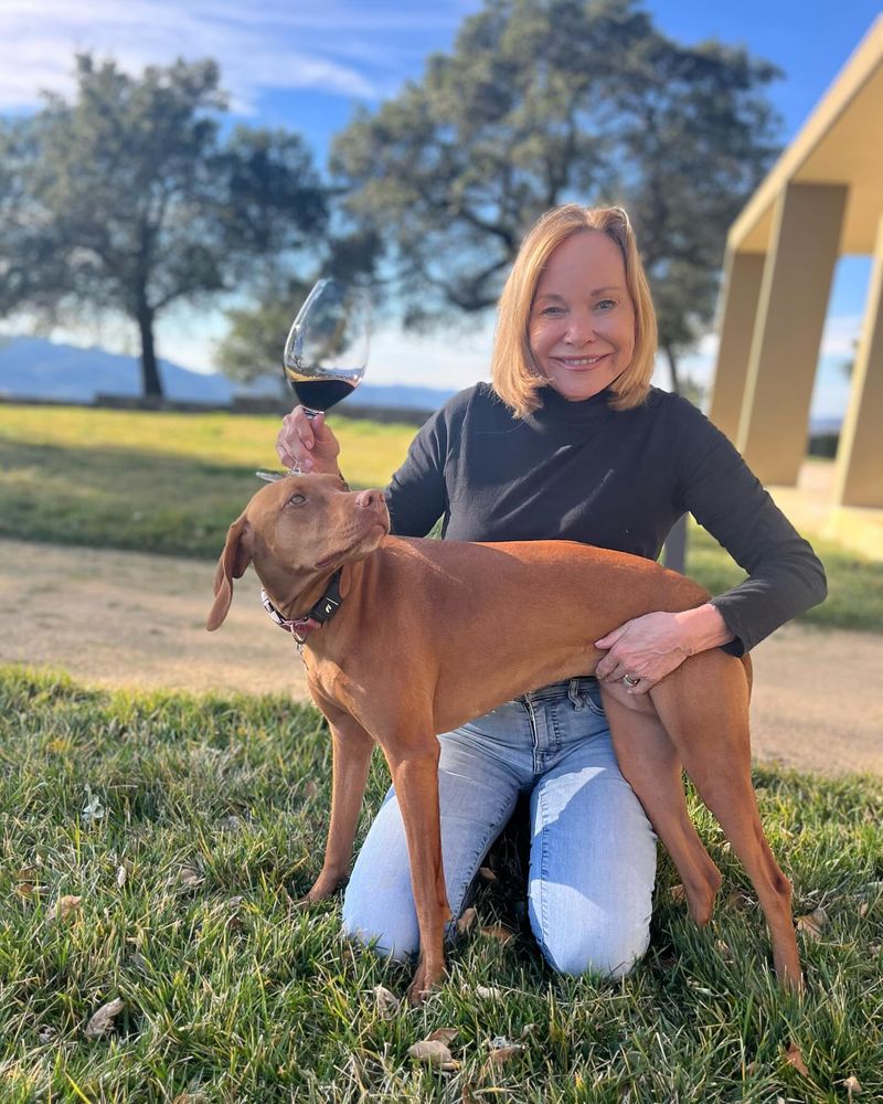 Vizsla: Wine Country Companion