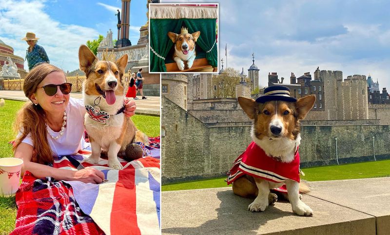 Royal British Pedigree Adds Novelty