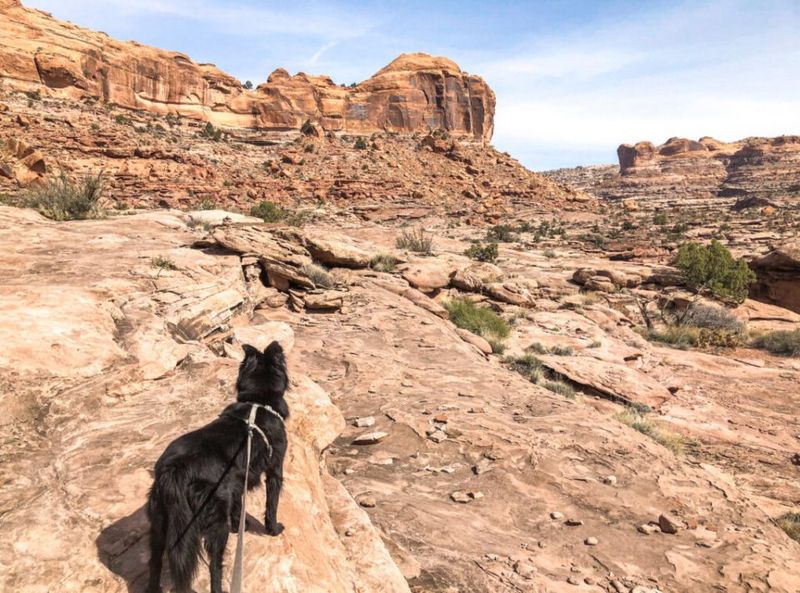Jeep Arch: Off-the-Beaten-Path Adventure