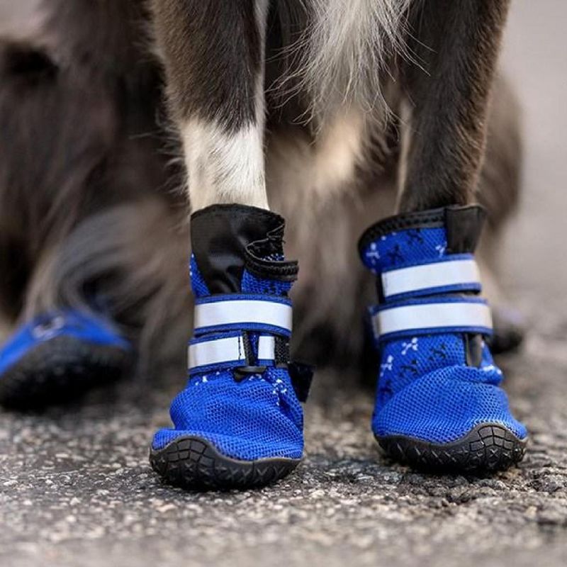 Paw Protection Squad