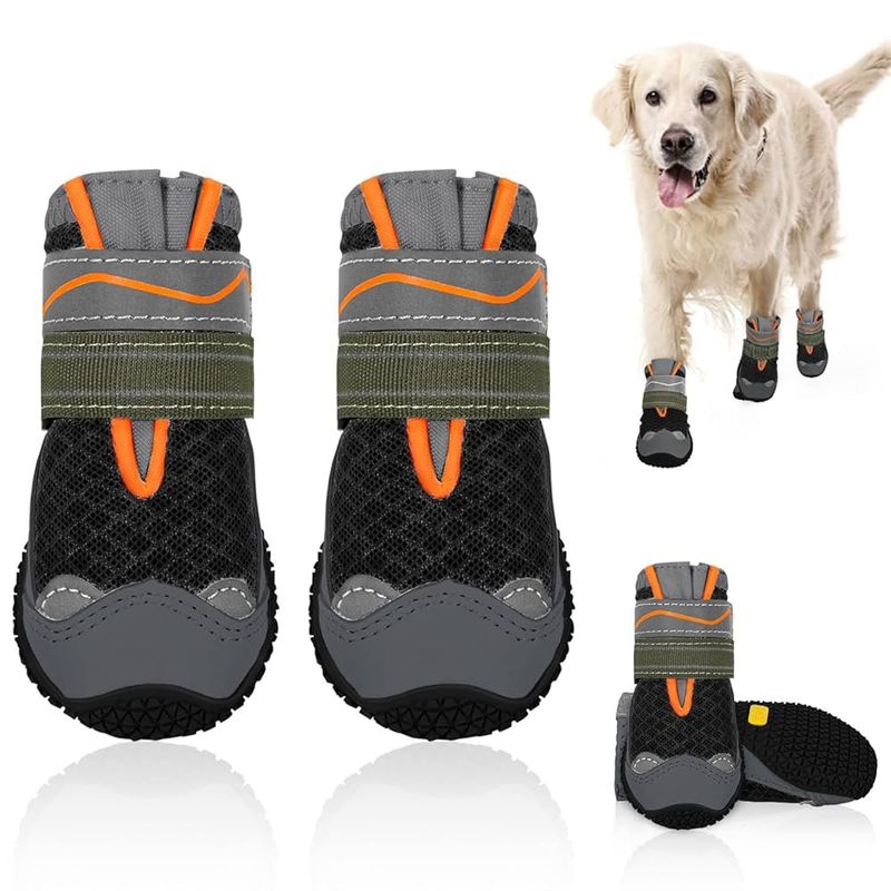 Protect Their Paws from Hot Surfaces