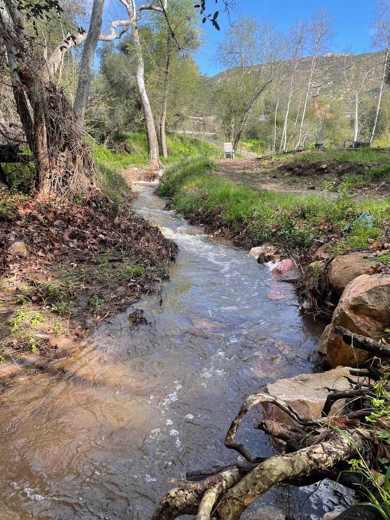 San Diego Canyon Creek