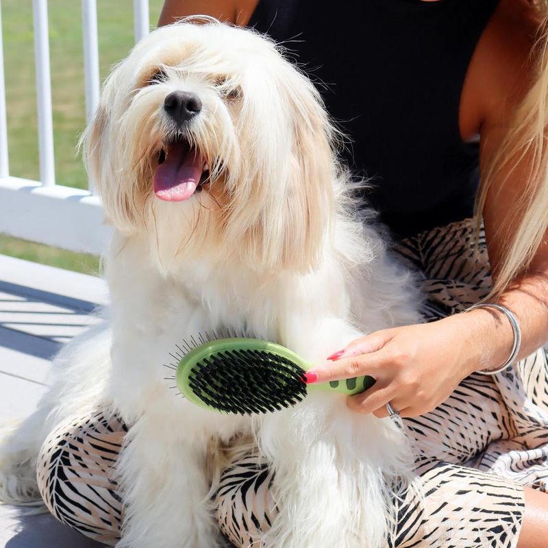 Dual-Brush System Grooming Hack