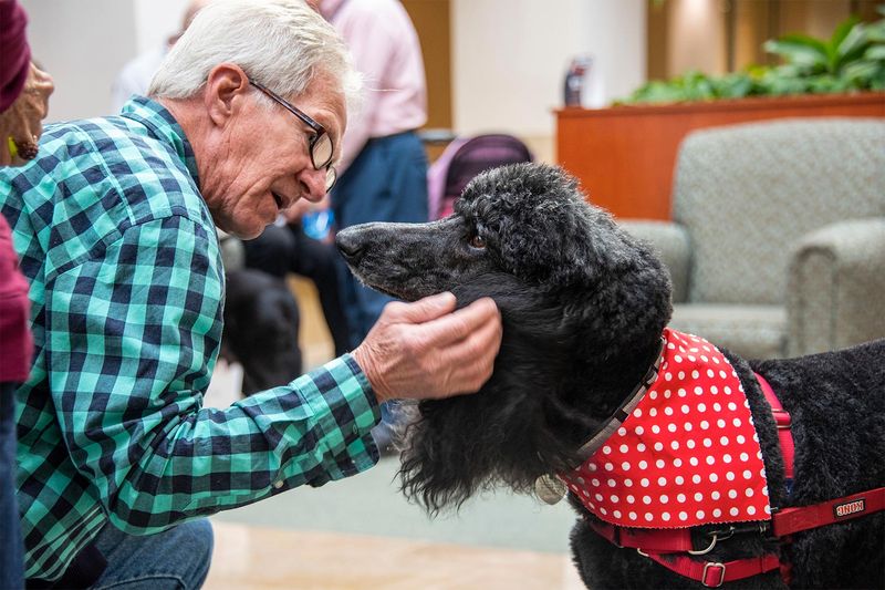 Emotional Support And Companionship