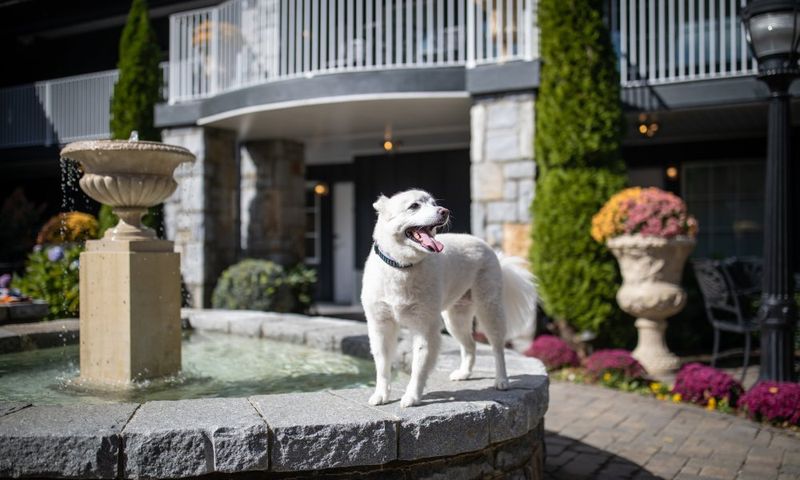 The Umstead Hotel & Spa – Cary