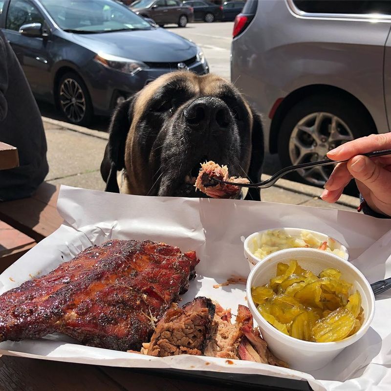 Bogart's Smokehouse — St. Louis (Soulard)