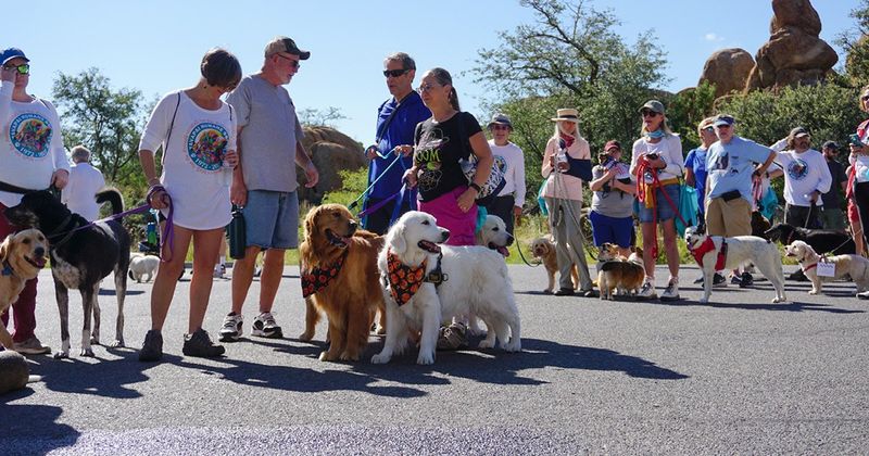 Dogtoberfest Day