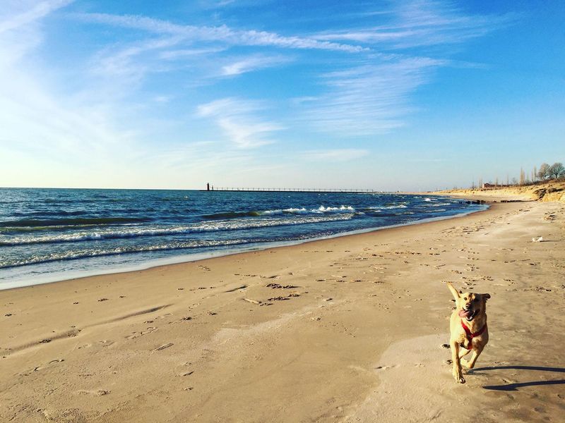 Warren Dunes North End – Towering Sands, Tiny Crowds