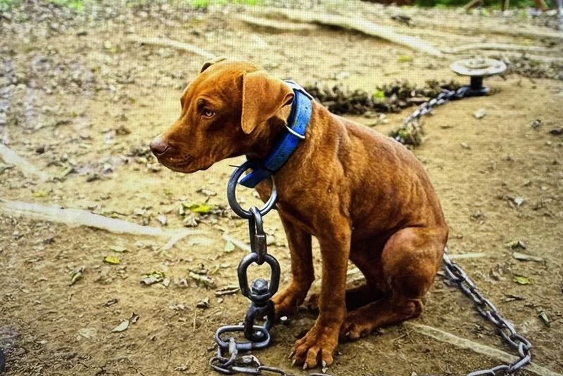 Anti-Tethering Laws: Freedom From Chains