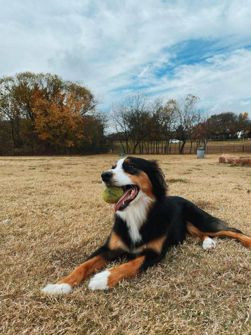 Wide Open Spaces For Play And Exploration