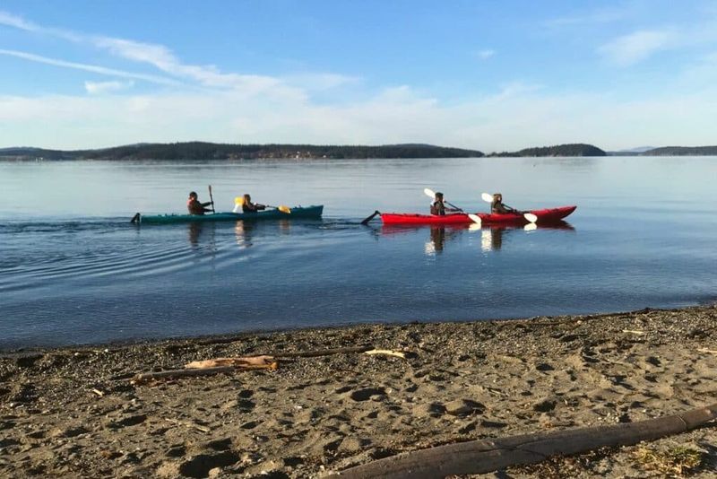 Birdwatching Paradise At Spencer Spit State Park