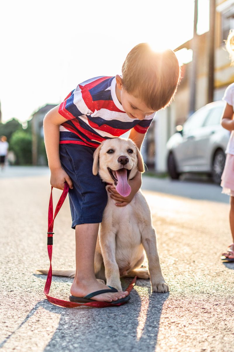 Teaching Compassion
