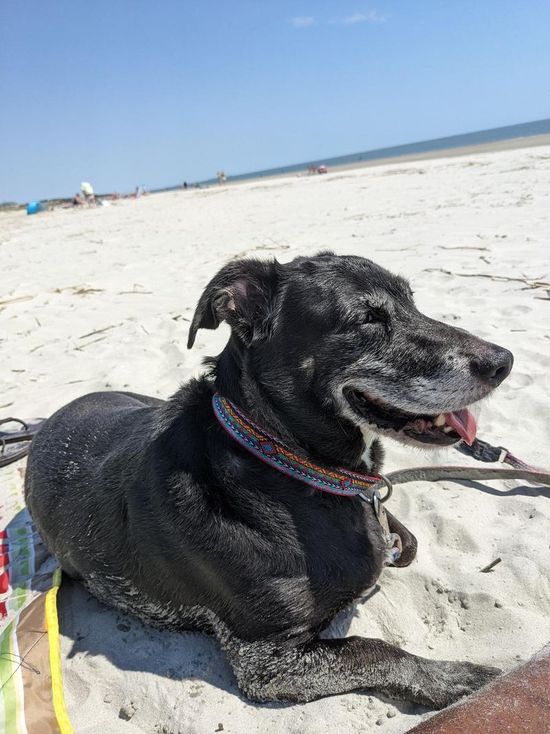 Burkes Beach (Hilton Head Island)