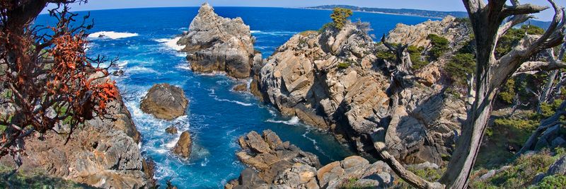 Point Lobos' Rocky Coves