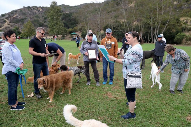 Has A Go-To Dog Park Crew