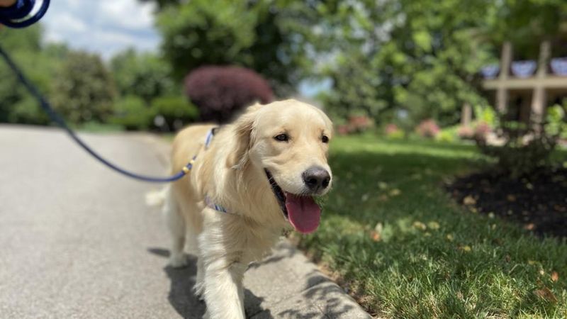 Limit Outdoor Exercise During Peak Heat