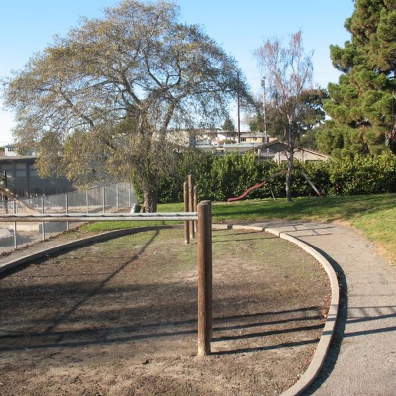 Ohlone Park: Berkeley's Community Canine Gathering Spot