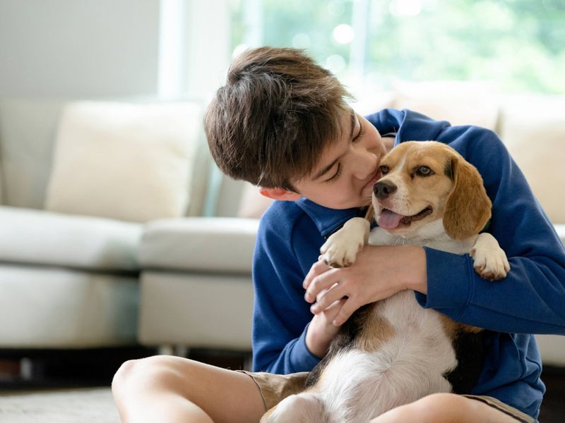 Pet Lease and Rental Restrictions Create Housing Hurdles