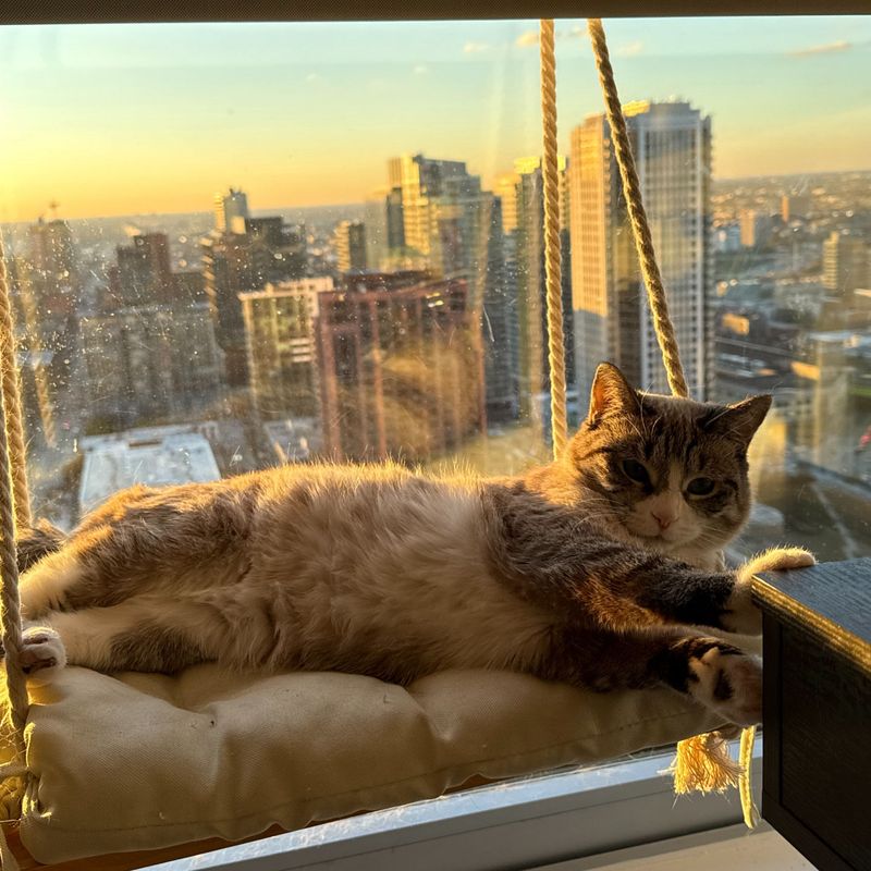 Rooftop Sunbathing